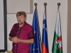 Svanibor Pettan